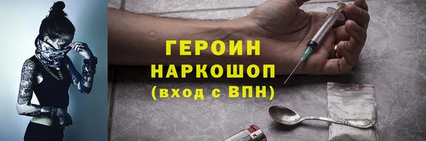 гашик Алексин