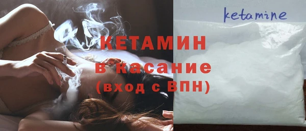 гашик Алексин
