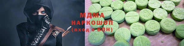гашик Алексин