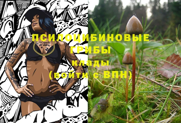 СК Алзамай
