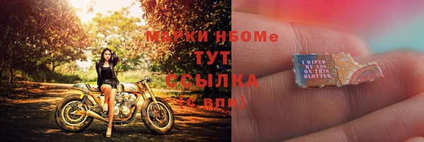 гашик Алексин