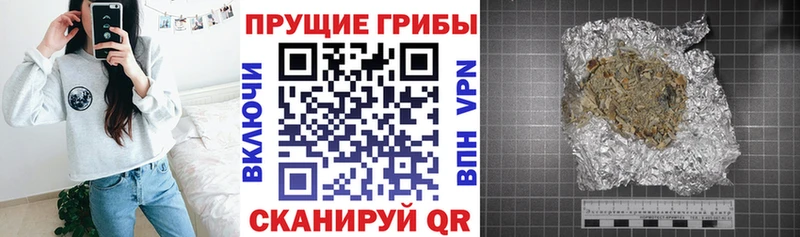 mega сайт  купить наркотик  Шатура  Галлюциногенные грибы мухоморы 